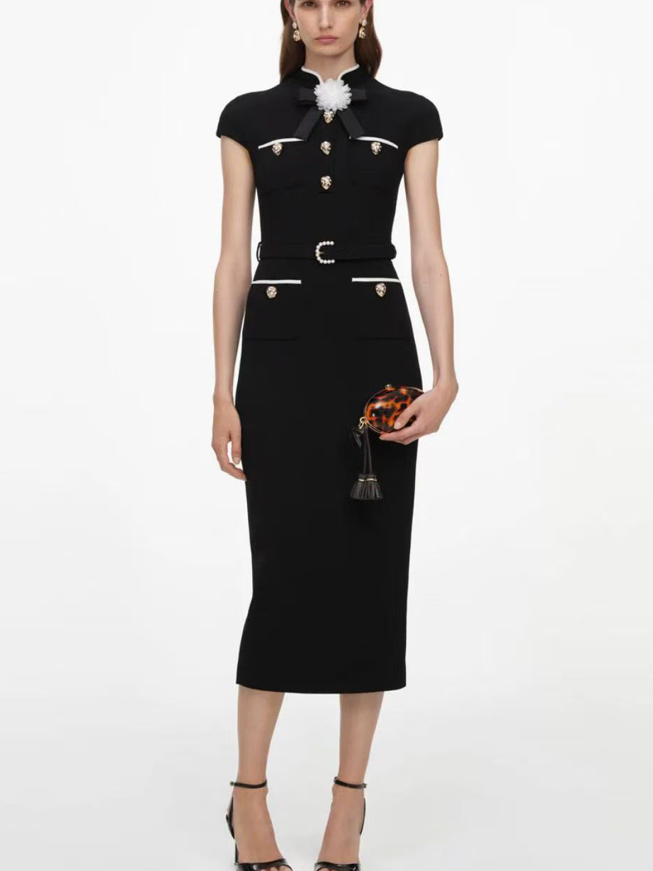 Elegant premium women dress stock photo 6